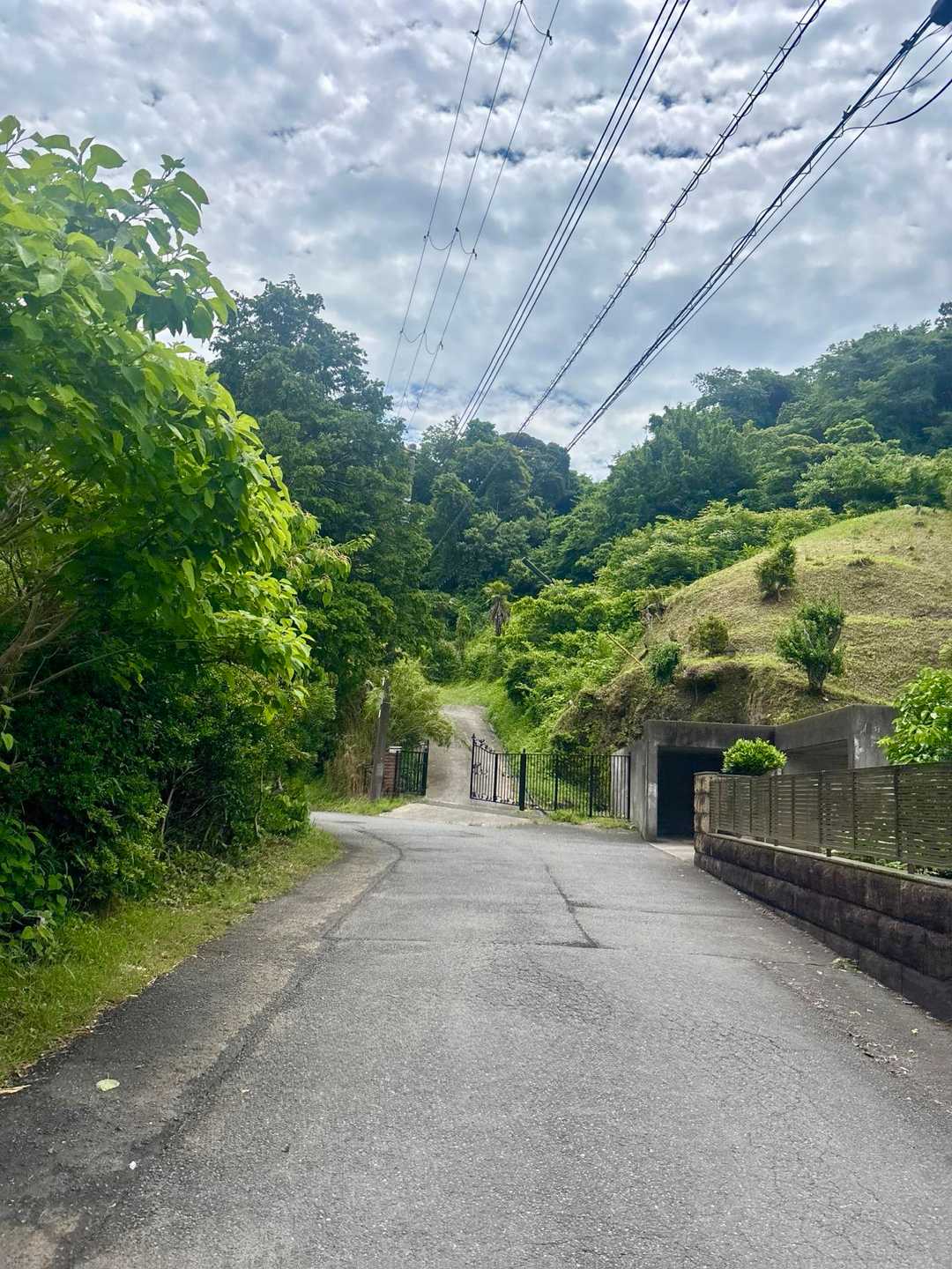 ここから鷹取山ハイクへ🦅⛰️