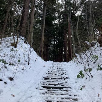 雪で滑る踏みしろの狭い石段☃️