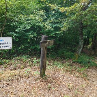 それではそのまま南下します。