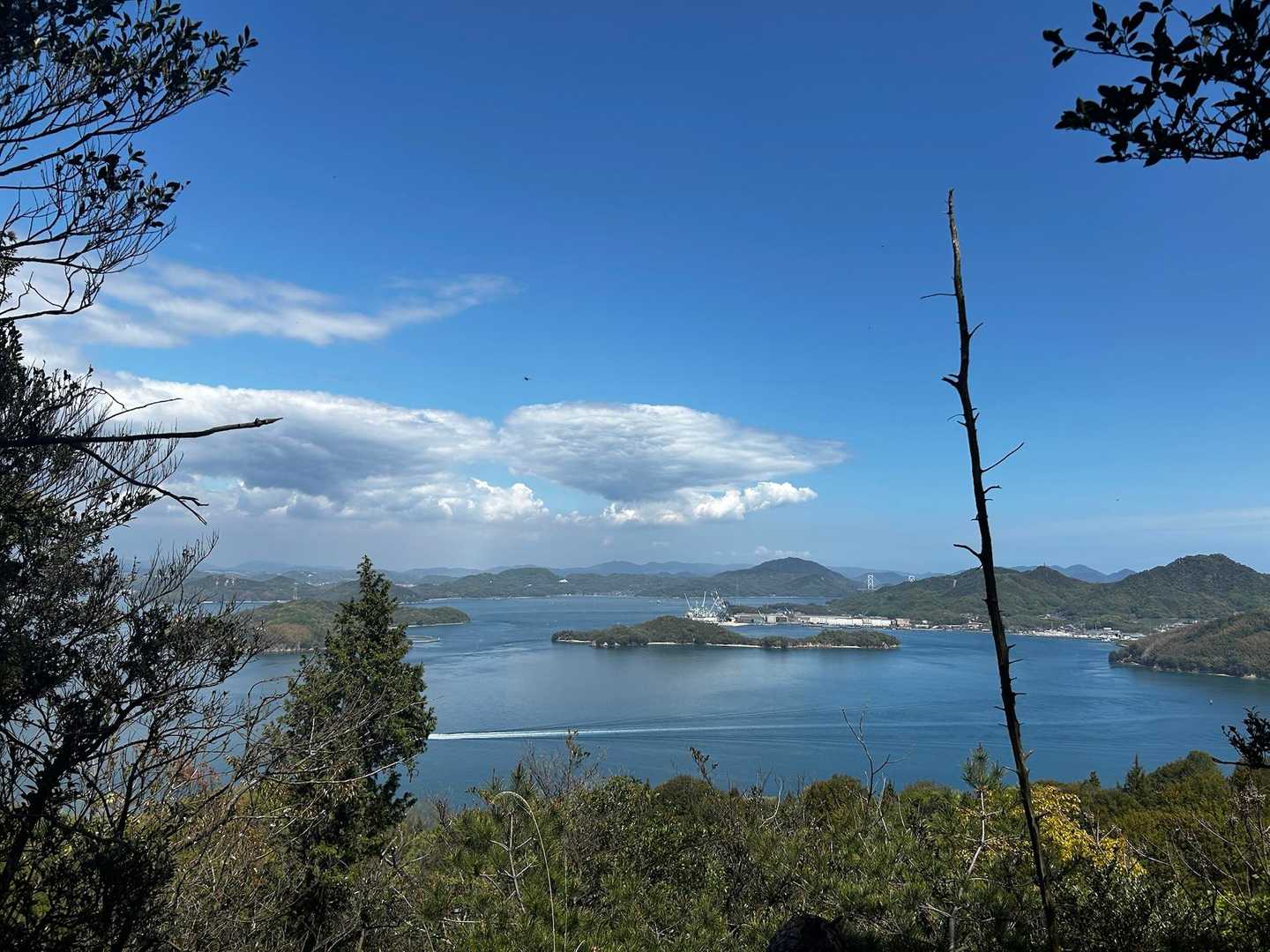 塔の峰登り口-大平山登り口-大平山-狗山-明神山-行者山登 周回コースの写真