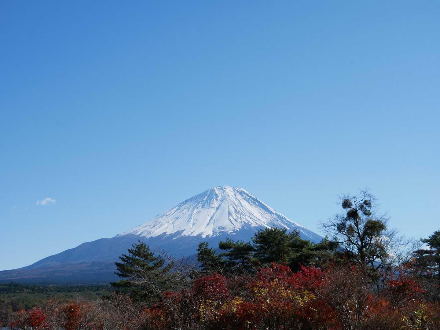 下山時には多くの方々とすれ違い！
人気のお山⛰
最後にまた📸
最高の富士山🗻でした🤗

「次、行くよ〜」の声😂