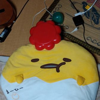 野球成年
