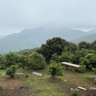 笙ヶ岳はガスの中