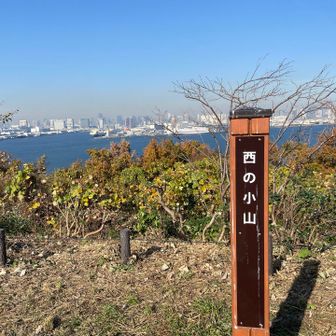 息子の幼稚園のあれこれ。送り迎え。ごはん。家事炊事。