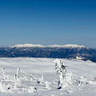 蔵王も真っ白け！