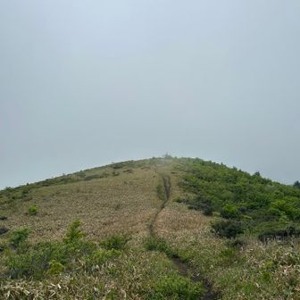 霧🌁