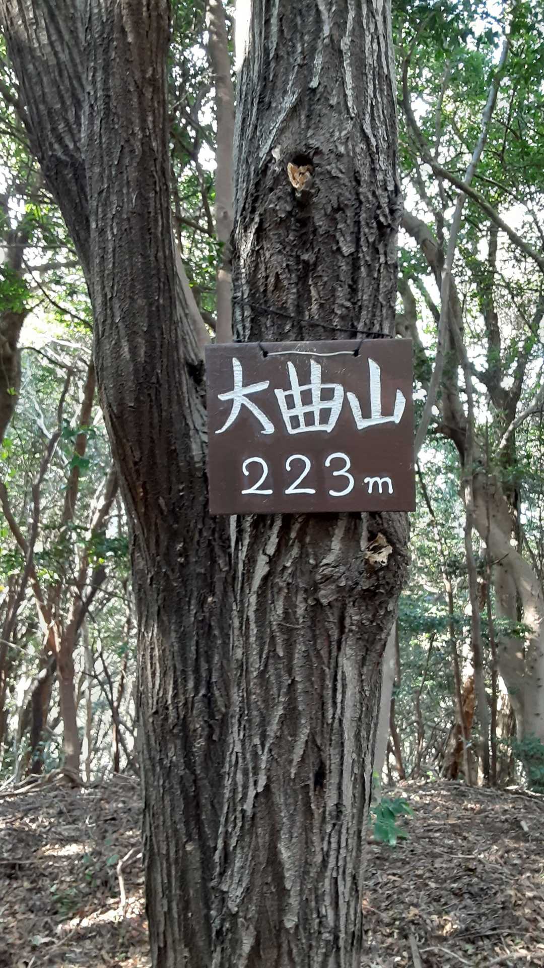 目印が沢山できていてアッサリ到達😄とっとと戻ります🚶‍♂️