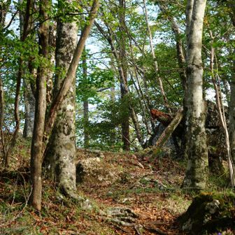 精進山はなだらかに。
