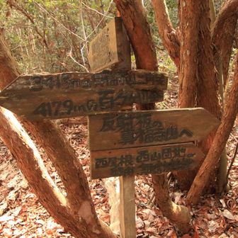 ルーの間違いはないな👍