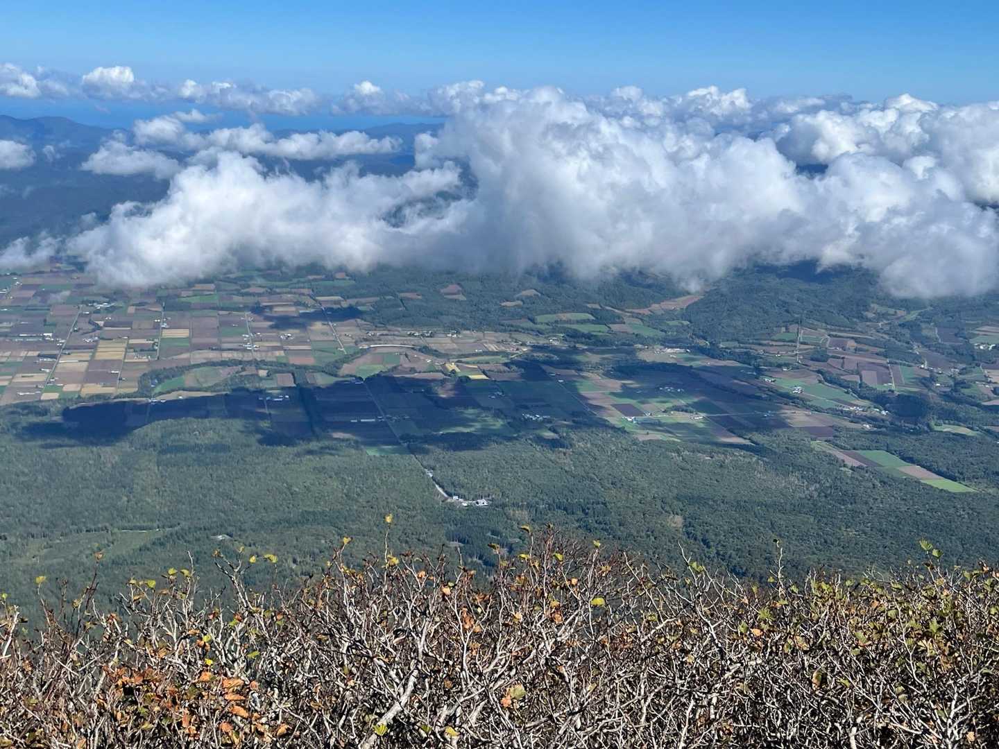 中央手前がニュースで話題の違法伐採地区。
近づくと中国人に囲まれるらしいです。