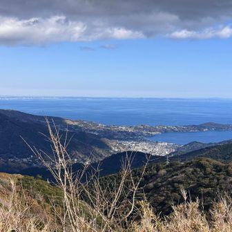 真鶴半島が見えた
