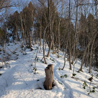 葉山間はちゃんと雪山