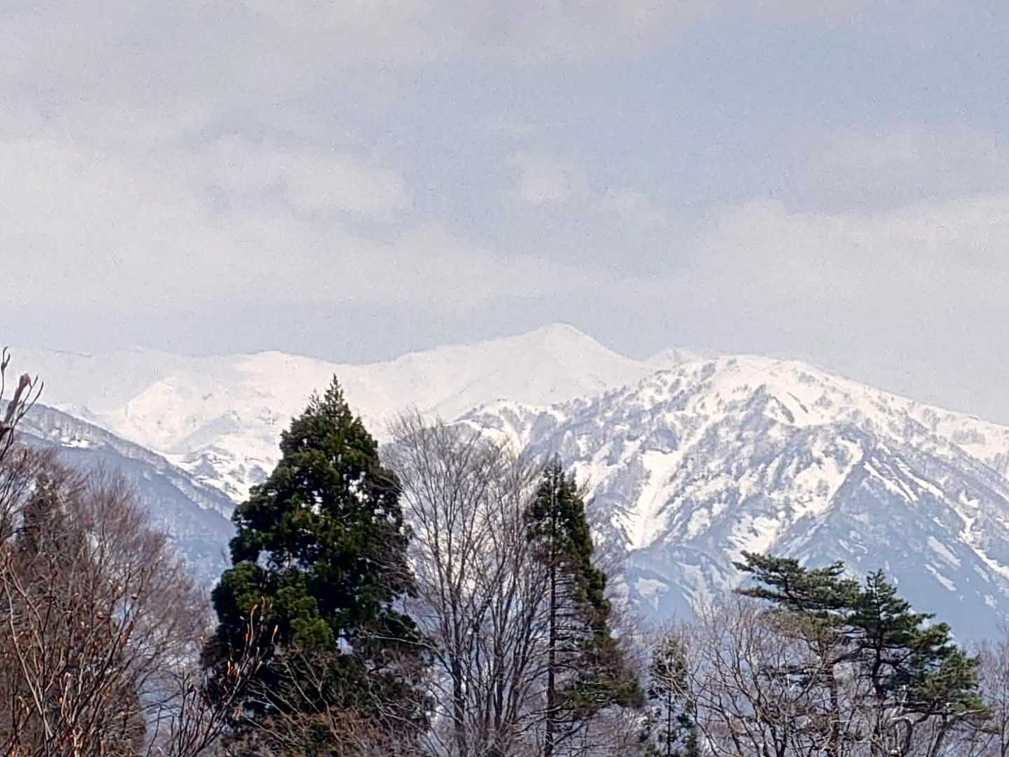 大日岳真っ白