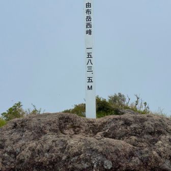 西峰とうちゃく　1583.5m
   まっちろです　ここでランチ🍙🌮