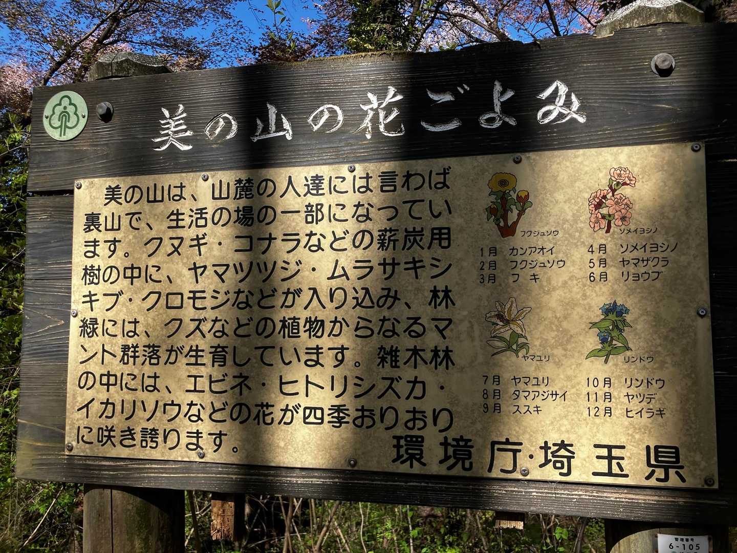 この山は四季を通じて花が、楽しめます🎶
