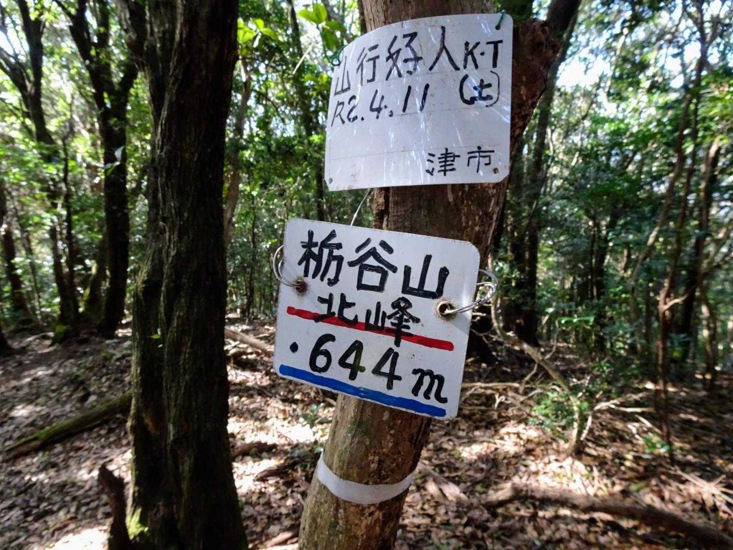栃谷山北峰⛰ 一つ目🚩