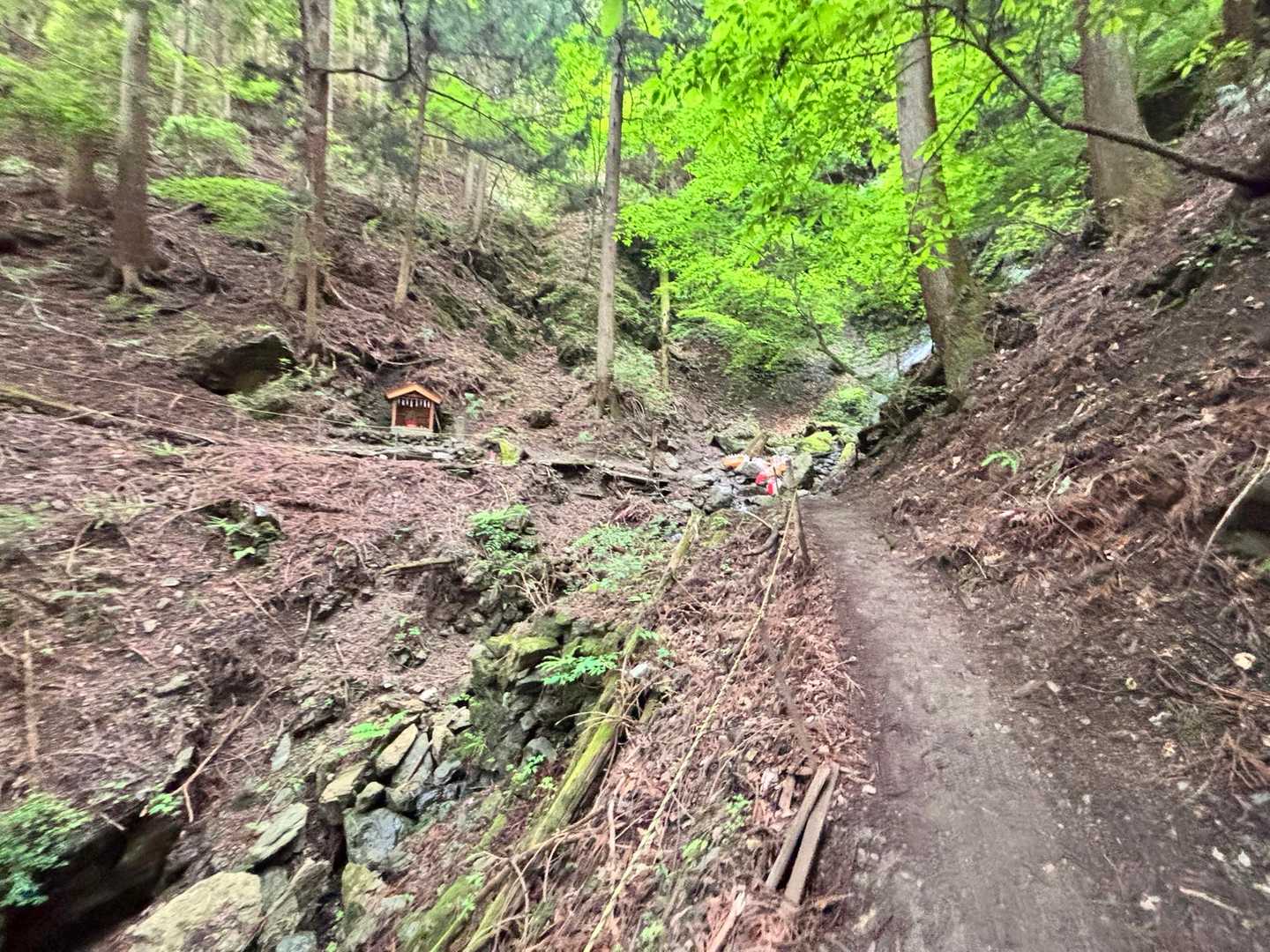 武甲山 周回コースの写真