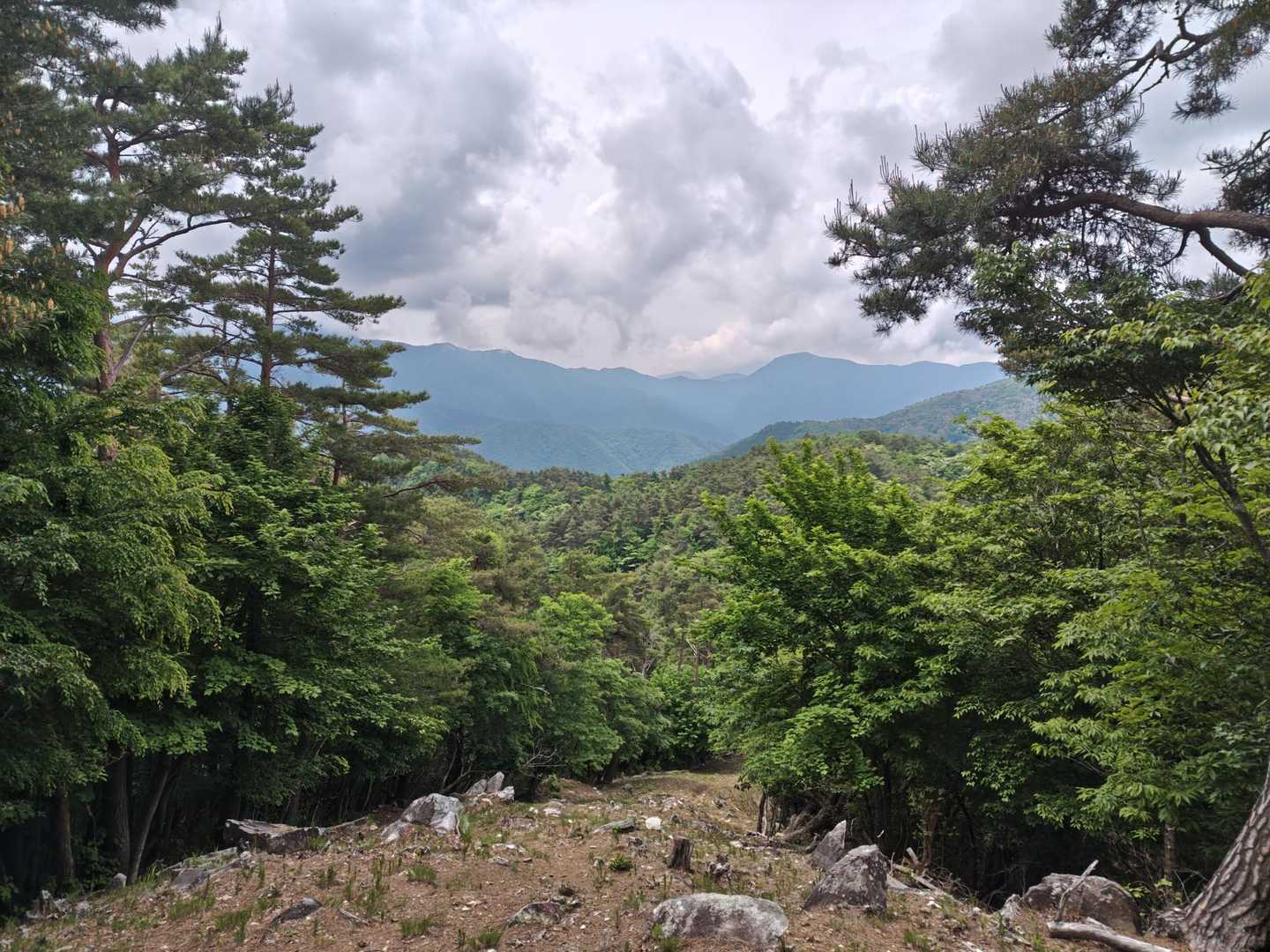 鶯宿峠-滝戸山登山口-滝戸山-名所山-黒坂峠-春日山 周回コースの写真