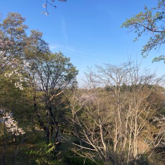 ここが実は生田緑地の最高地点ってたぶんあまり知られていない(^^;)