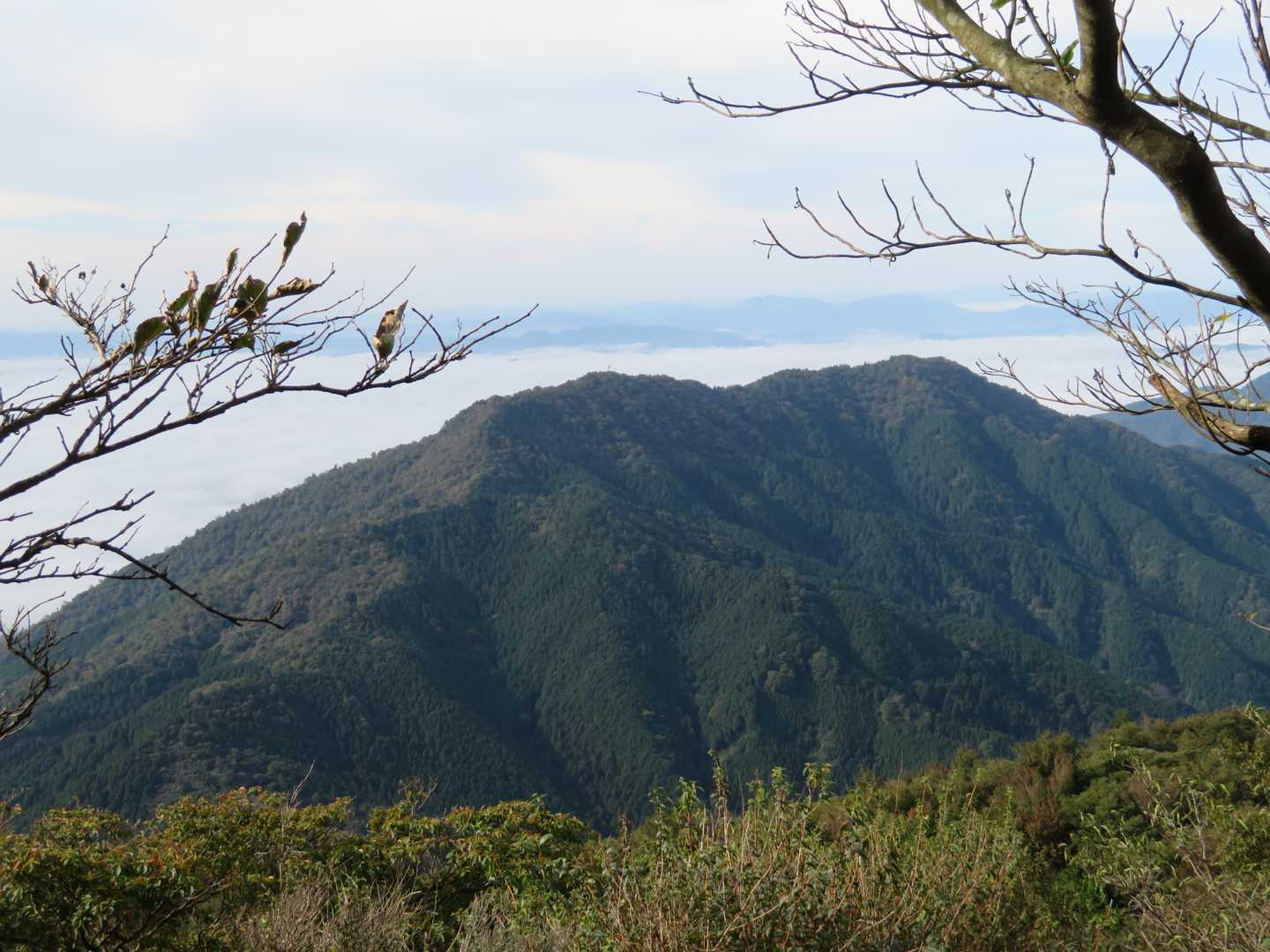 山形仙