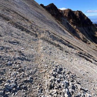 後は大きくジグ切ってる