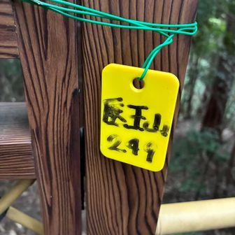 すぐに着いた医王山