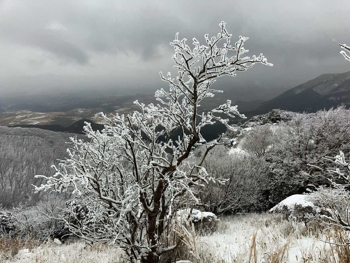 瀬の本登山口-岩井川岳 往復コースの写真
