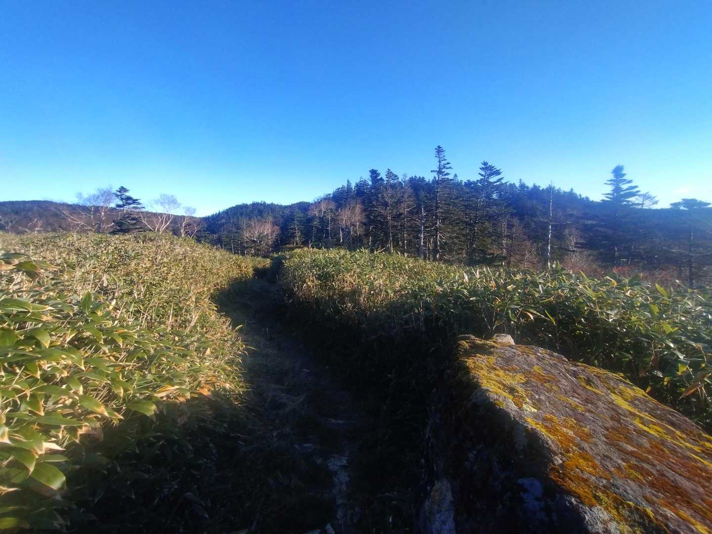進行方向