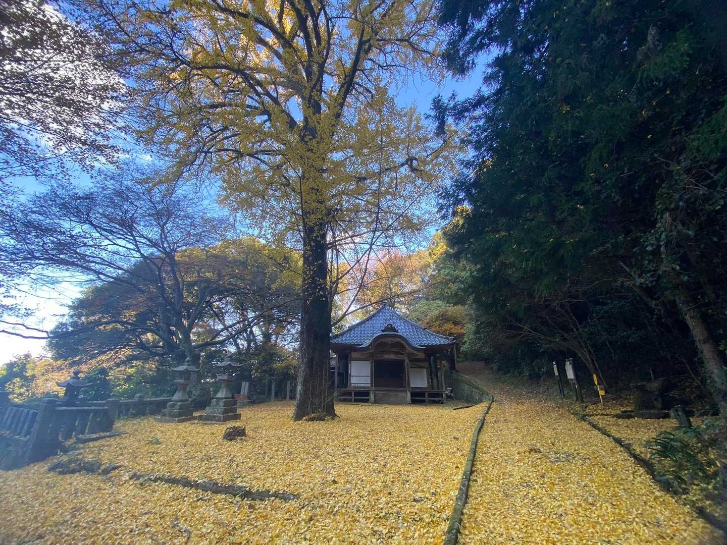 また来ますね～