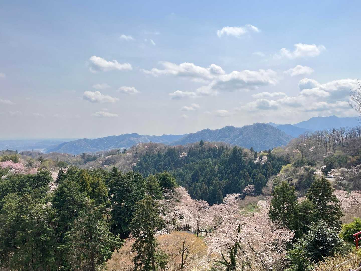 金刀比羅宮-草戸山-草戸峠-高尾山口駅 縦走コースの写真