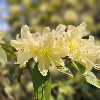 いい時に来たな～🎶