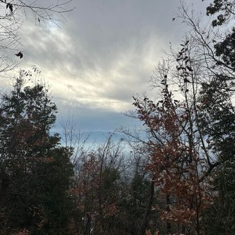 たくさん降られずにすんでよかったな