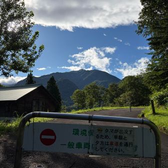 早朝、こんな怖い案内看板がありましたので🐻