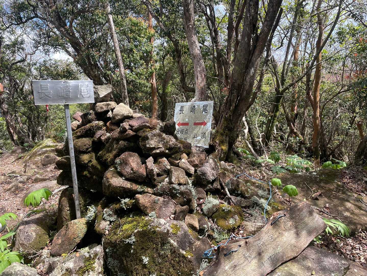 ちょっと先がここまで来てしまった、ここで迷う､､､引き返そうか、先へ行くか？時間大丈夫か？私の足で？