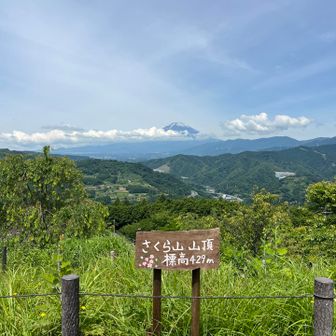 つぶらの公園の駐車場からすぐ上のさくら山

富士山は雲が増えてきました