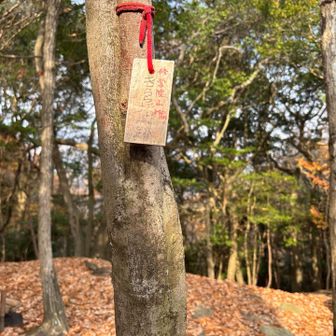 修学院山山頂✨雲母坂城跡の様🧐