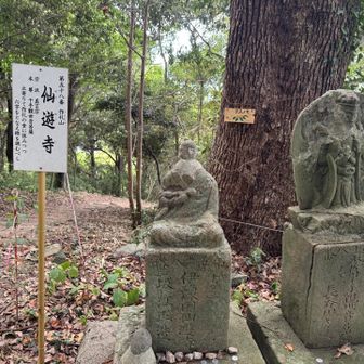 第五十八番　作礼山仙遊寺