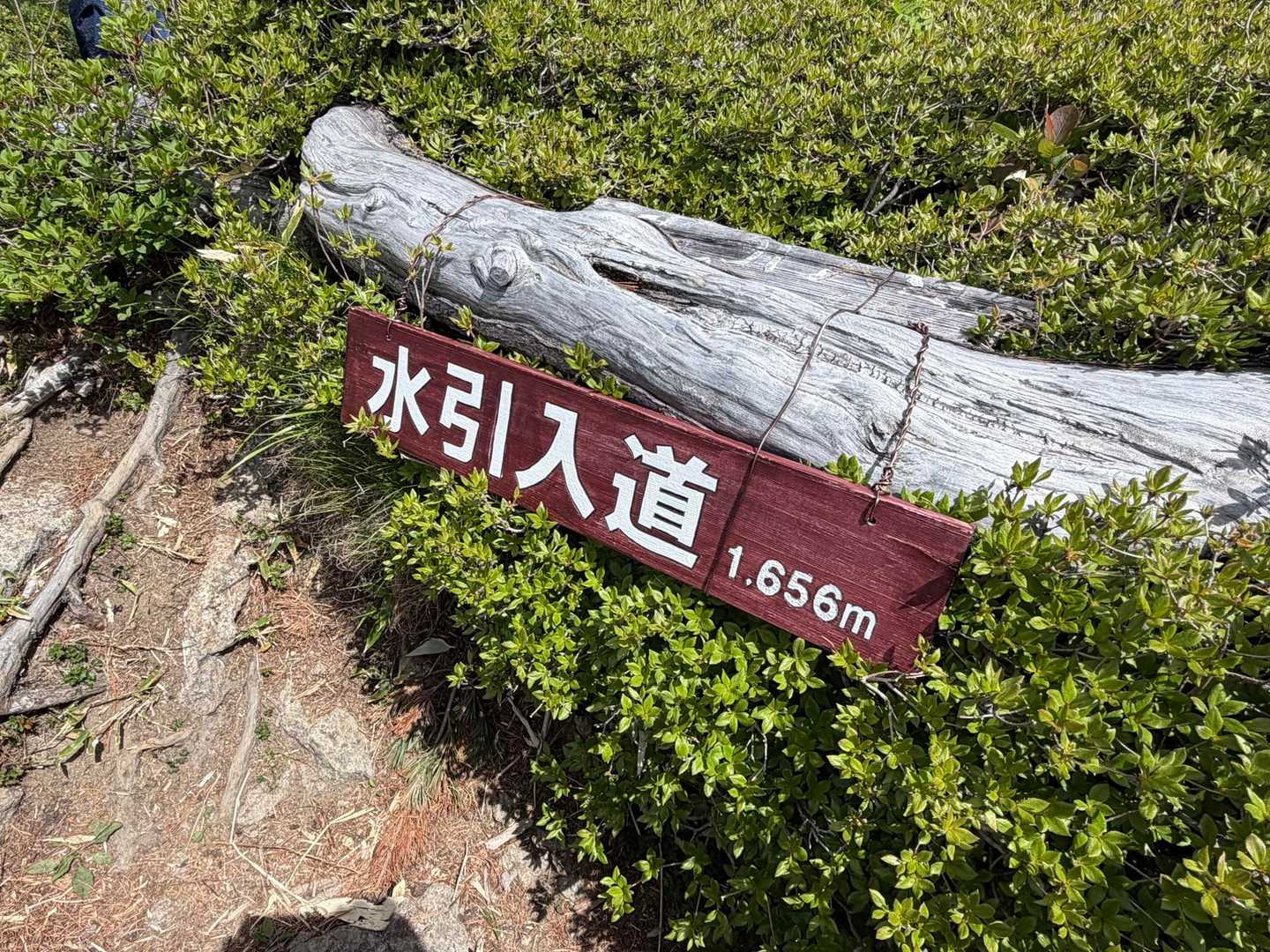 標識が新しくなっていました。
