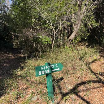 いきなり道を間違えかけた