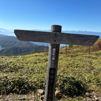 親不知の頭