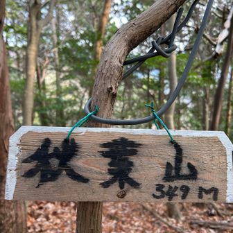 やっと見つかった。。