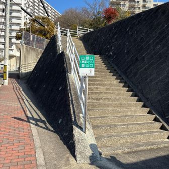 さぁ。登山の始まり⛰️