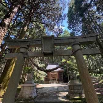 八幡社まで
戻って来ました⛩