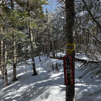 毎度紛らわしい立場山の山頂標識。