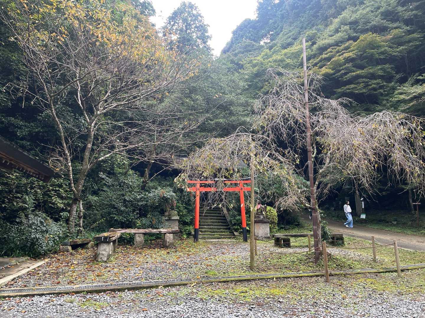 蹴上コース | 京都市街を一望できる大文字山頂の絶景の写真