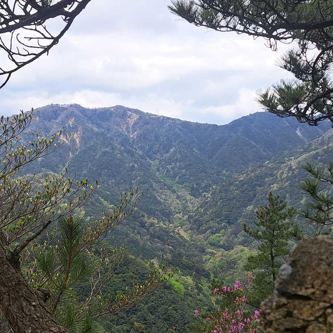 あっちは羽鳥峰