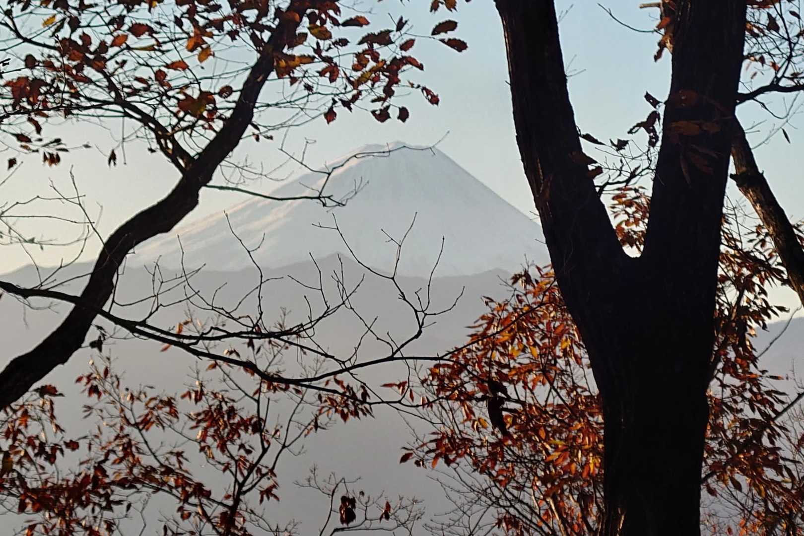 下山途中でもフレーム富士山🗻が😃