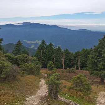 霊仙山方面…
琵琶湖側は、雲海に囲まれているのかな？

裏山らしい景色🎉