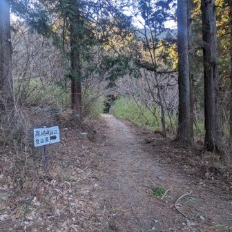 ここから登山道が始まる