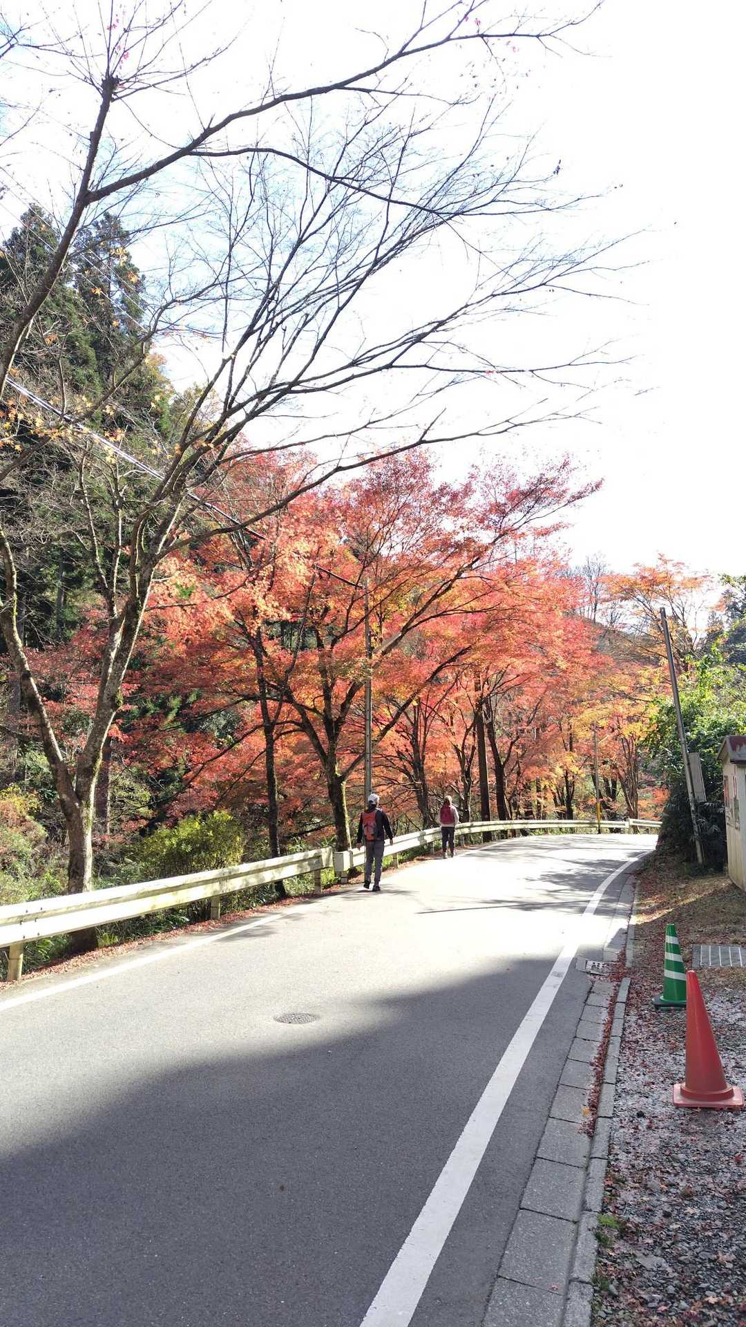 鞍馬駅-山門駅-鞍馬寺-木の根道-鞍馬山-僧正ヶ谷不動堂- 縦走コースの写真